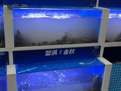 -蟹状元大闸蟹·年货·粽子(成都成华店)