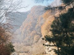 -少华山国家森林公园