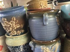 -桂林市花鸟市场