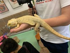 -藦茜花园宠物主题亲子互动体验馆(国顺东路店)