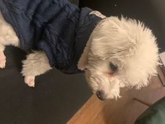 -仰生如卉推拿养生馆(酒仙桥店)