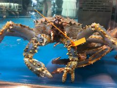 -盒马鲜生(大成店)