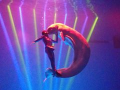 -芜湖新华联大白鲸海洋公园