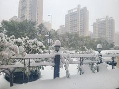 -Africafe(非洲咖啡)