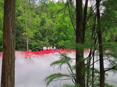 游乐设施-九真山风景区