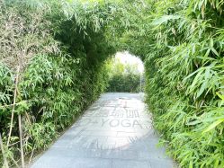 -酉嘉瑜伽YO+YOGA