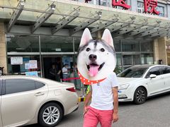 -北京市丰盛中医骨伤专科医院