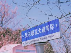 -上海辰山植物园