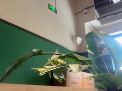 -1937青岛老味道·海肠捞饭·青岛菜(大鲍岛栈桥店)