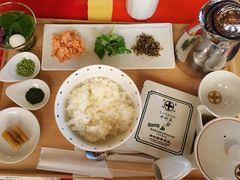 茶の葉ごはん-中村藤吉(本店)