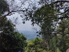-火炉山森林公园