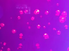 -福州罗源湾海洋世界旅游区