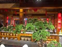 -翠清酒家(万丰路店)