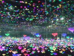 -威海华夏城景区