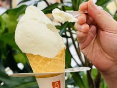 -野人先生Gelato(上海长宁龙之梦店)