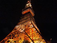 -东京塔海贼王主题公园