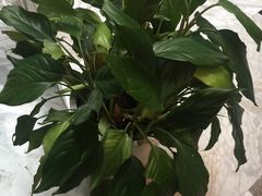 -金逸影城(影视中心IMAX店)