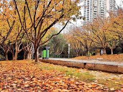 -苏州河梦清园环保主题公园