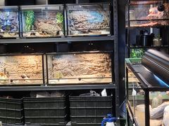 -FAIRYLAND龙族星球主题餐厅(凯丹广场店)