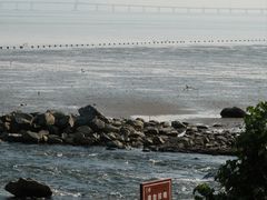 -深圳湾公园(南山区)