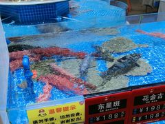 -皮记海鲜1995(寮步店)