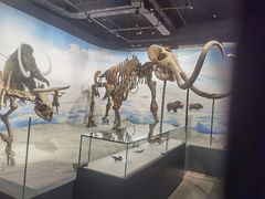 -辽宁古生物博物馆