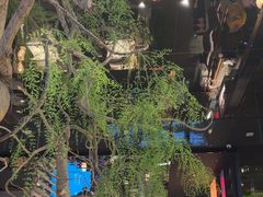 -桂满陇·海市蜃楼·黑金(国金店)