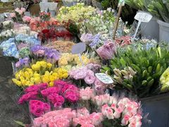 -循礼门鲜花花市(武汉循礼门店)