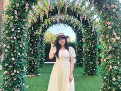 -汕头龙光喜来登酒店