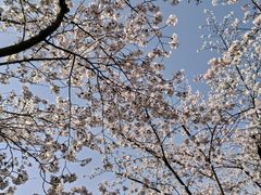 -龙美术馆(西岸馆)