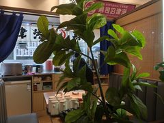 -沼津港精致料理·寿喜烧·烧鸟(漕河泾印象城店)