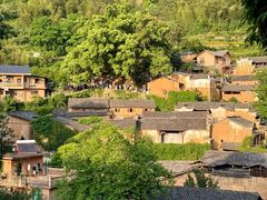-杨家堂村