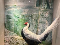 -广东省方志馆