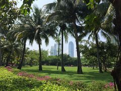 -万绿园