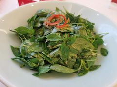 凉拌荆芥-金狮麟·新豫菜(金码大厦店)