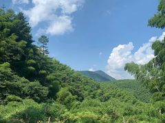 -太湖源风景区