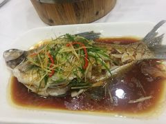 清蒸海鳊鱼-勝記酒家·37年老字号·经典粤菜(荔枝公园店)
