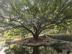 -晓港公园