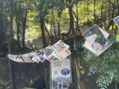 -百杖潭景区