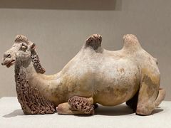 -深圳博物馆(古代艺术馆)