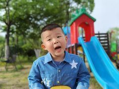 -杭州湾海上花田景区