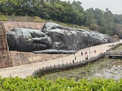 -三水森林公园