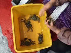 -蟹天蟹地农家菜·阳澄湖大闸蟹(浅水湾店)