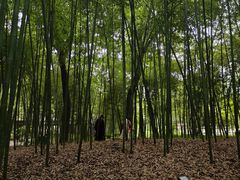 -兰亭风景区