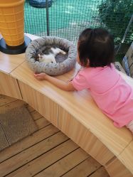 -萌宠亲子动物乐园(槐房万达店)