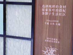 -方腻·3平方柠檬茶