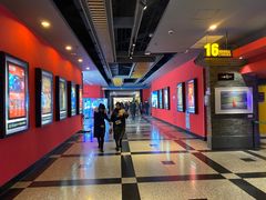 -万达影城(锦华万达广场IMAX店)