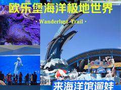 -泉城欧乐堡海洋极地世界