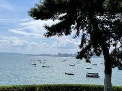-海源公园