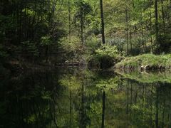 -素山寺森林公园